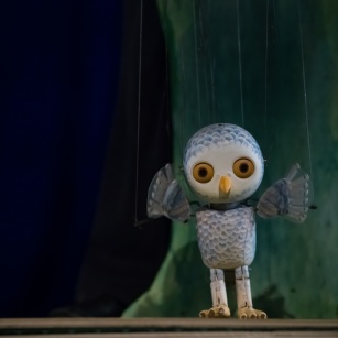 Big-Eyes the Little Owl