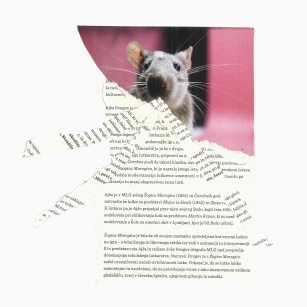A Mouse Called Julian