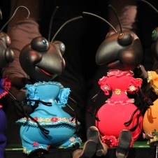 Four Black Ants, foto: Urška Boljkovac