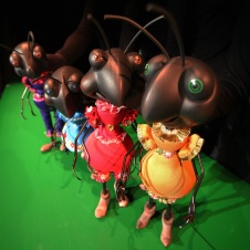Four Black Ants, foto: Urška Boljkovac