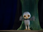 Big-Eyes the Little Owl, foto Jaka Varmuž