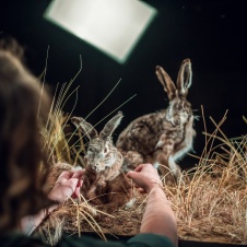 Foto Jaka Varmuž