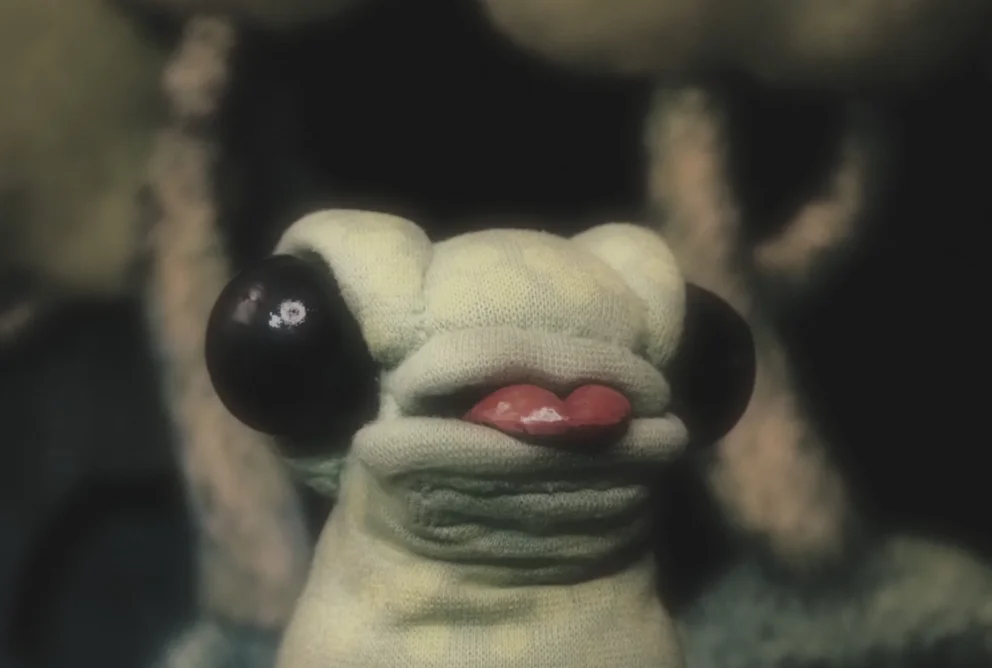 Samo žaba / Just a Frog
