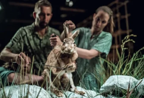 Gostovanje v Nemčiji