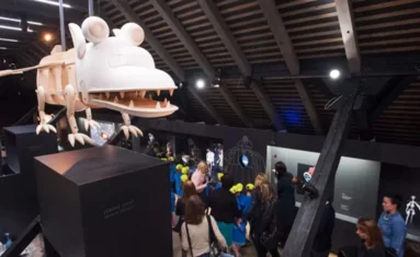 Skriti kotički, izven