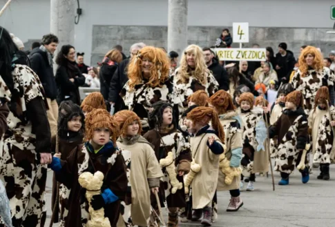 Naboljše maske na Zmajevem karnevalu