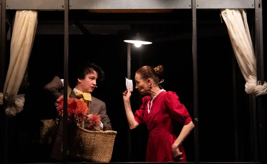 Emil in detektivi, izven