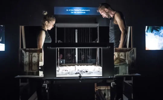 Misterij sove, Abonma 15+