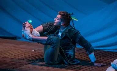 Peter Pan, izven