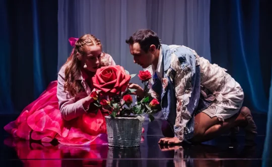 Snežna kraljica, izven