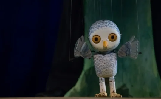 Sovica Oka, zaključena