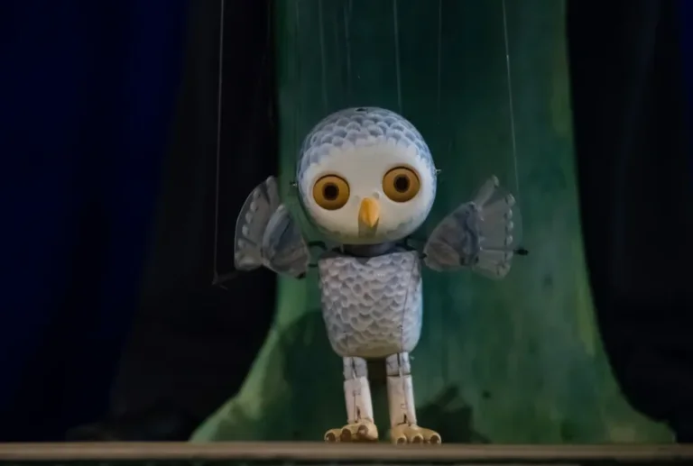 Skozi tisočere zgodbe: Sovica Oka