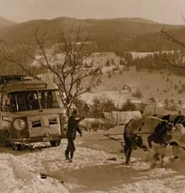 Ročne lutke so gostovale po Sloveniji - tudi s pomočjo volovske vprege.